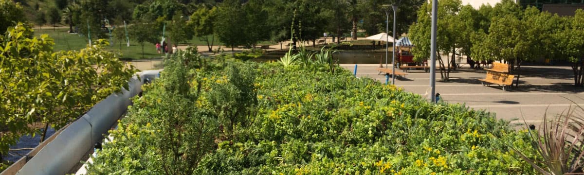 Cafetería Bonafide – Vitacura