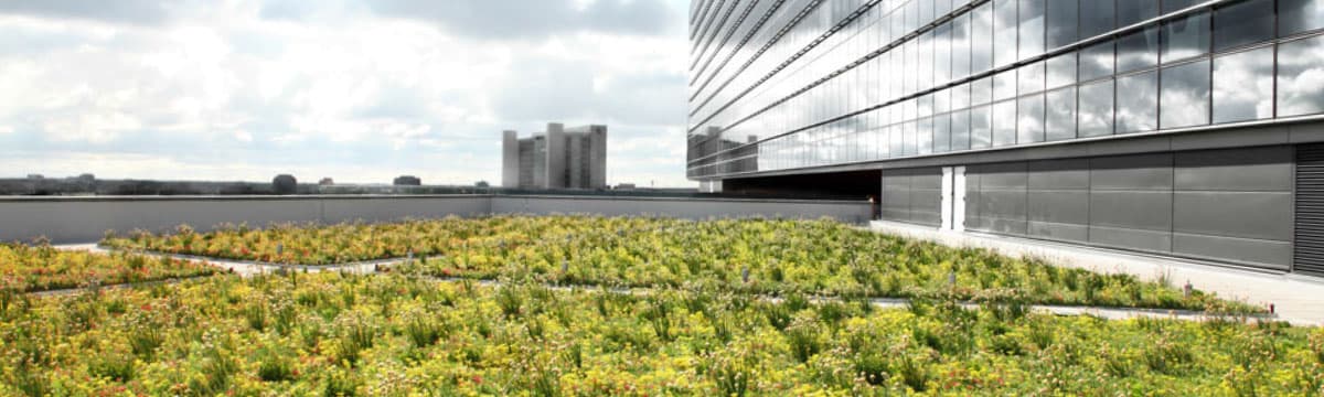 Zurich North America Head Quarters