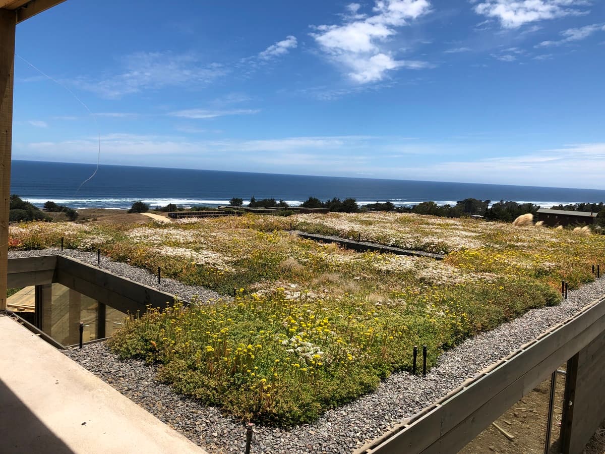 Casa Punta Lobos, Pichilemu, Chile
