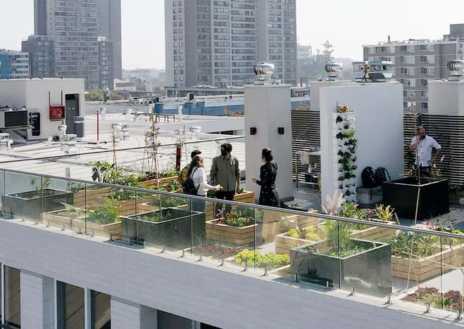 De la azotea a la mesa, una nueva tendencia urbana