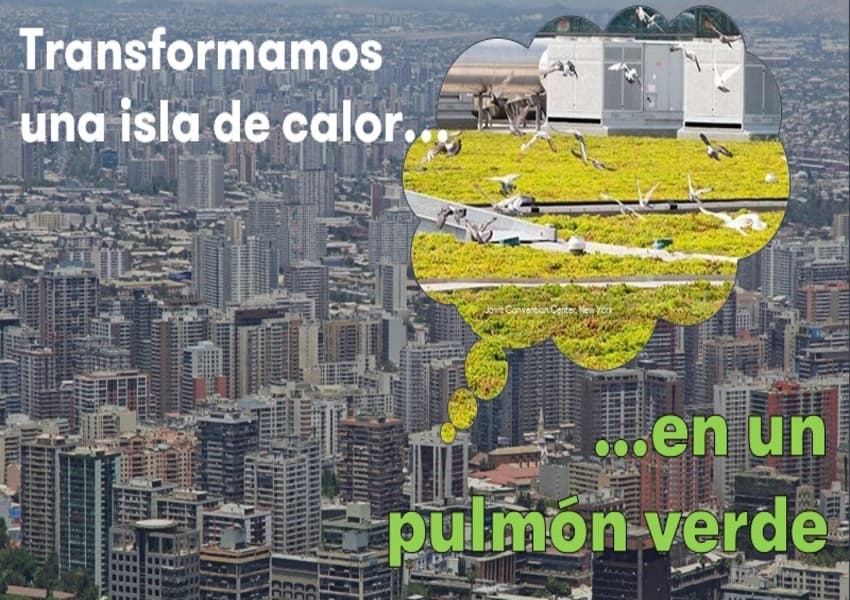 Compensar emisiones mediante la instalación de techos verdes