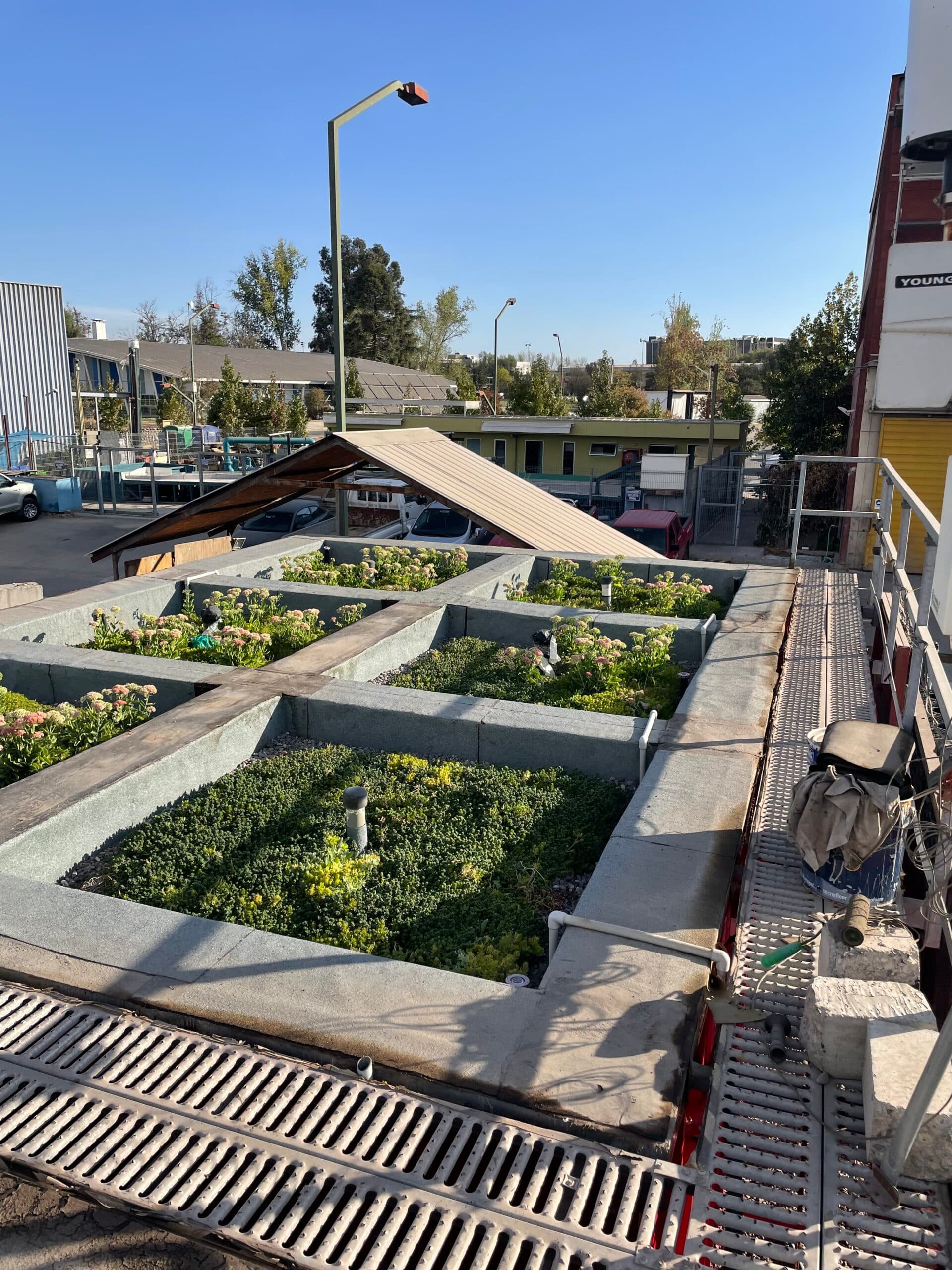 LIVE Laboratorio de Infraestructura Vegetal PUC