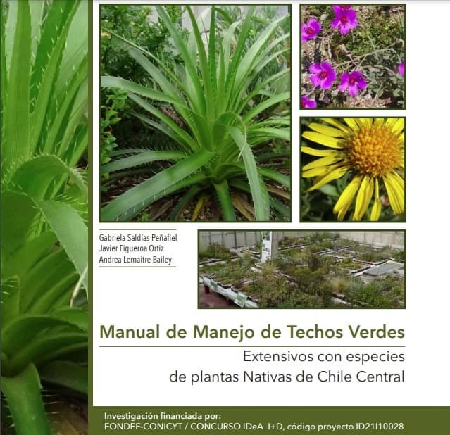 Manual de Manejo de Techos Verdes Extensivos con especies de plantas Nativas de Chile Central